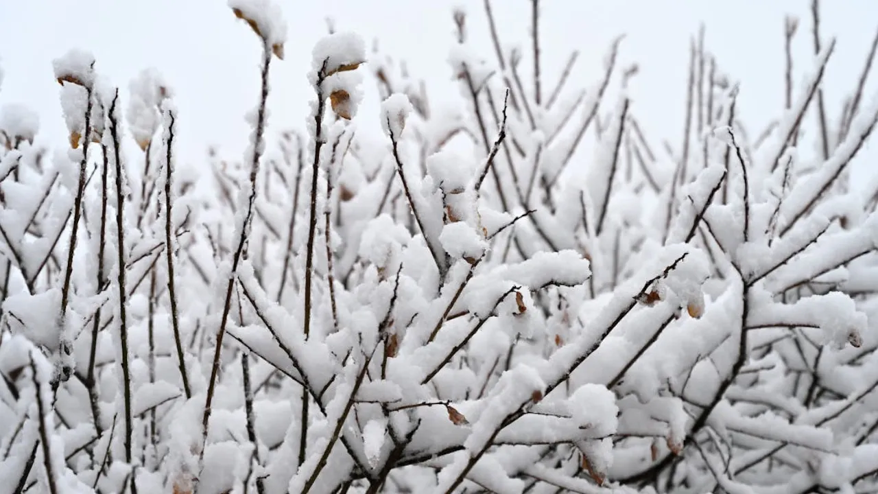 На вихідних погода в Україні зміниться - прогноз синоптика 