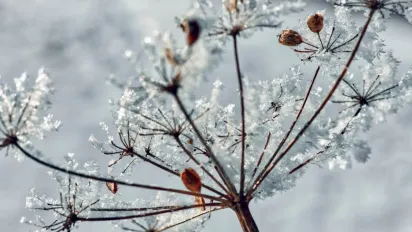 Завтра Україну штормитиме з новою силою: оголошено І рівень небезпеки  - фото