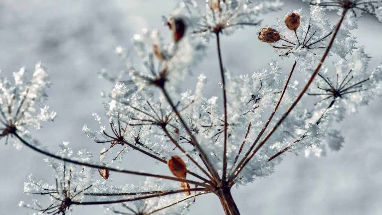 Завтра Україну штормитиме з новою силою: оголошено І рівень небезпеки  