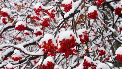 Що потрібно зробити вдома 25 листопада, щоб залучити успіх та удачу: народні прикмети - фото