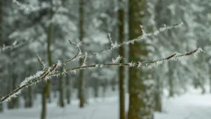 Морози, сніг, ожеледиця та вітер: синоптики попередили про "складну" погоду в Україні - фото