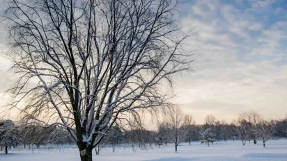26 листопада в Україні буде холодно: місцями навіть удень "мінус" - фото