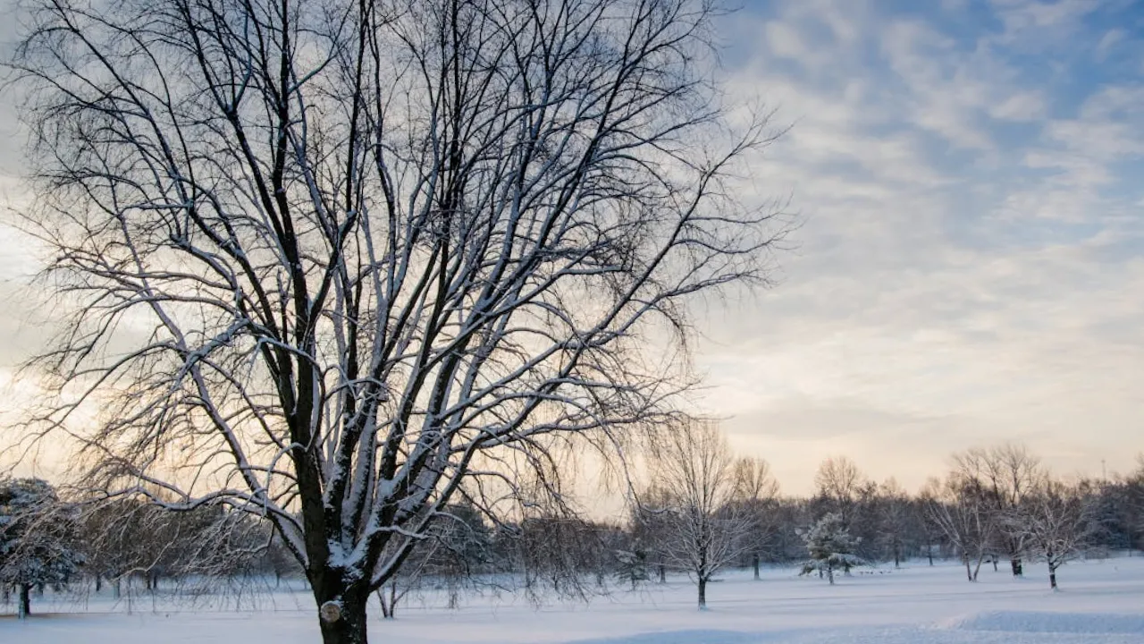 26 листопада в Україні буде холодно: місцями навіть удень "мінус" 