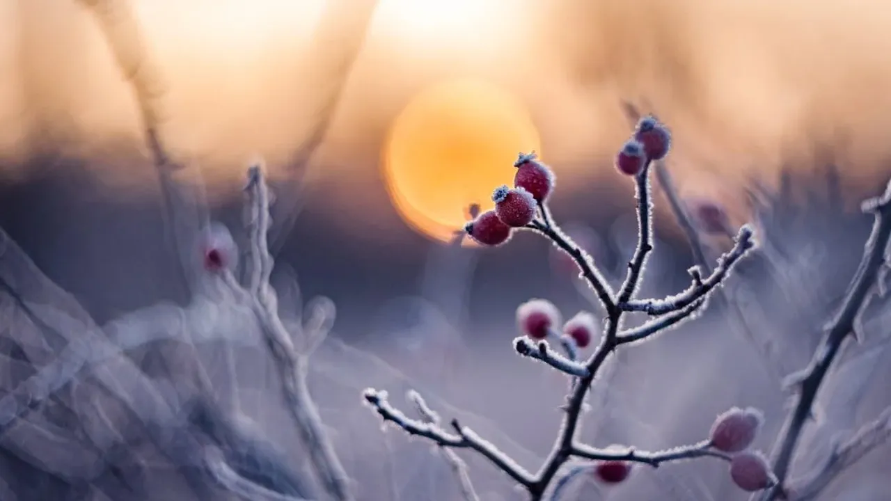 Що викидали з дому 26 листопада, щоб позбутися бідності: народні прикмети 