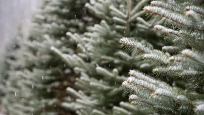 Синоптикиня повідомила, якою буде погода в Україні наприкінці осені - фото
