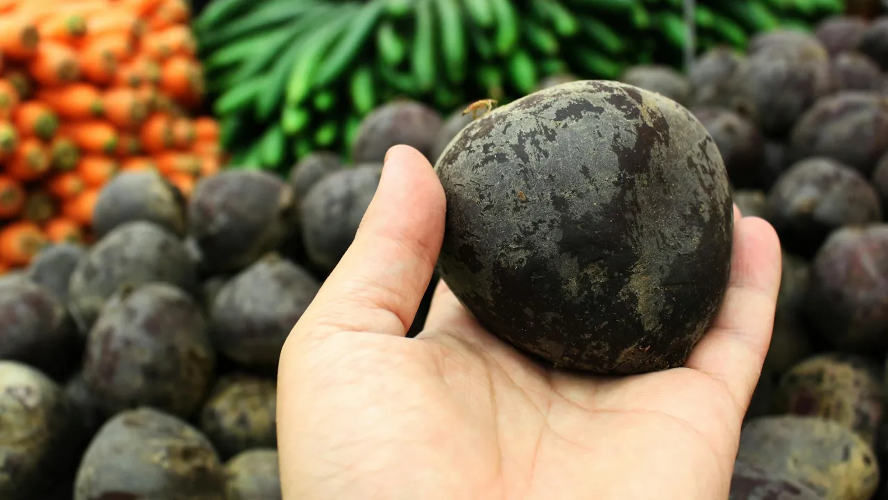 У Рівному безкоштовно роздаватимуть овочі для борщу 