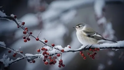 Що не можна і що можна робити 27 листопада 2024: дві прикмети на щастя - фото