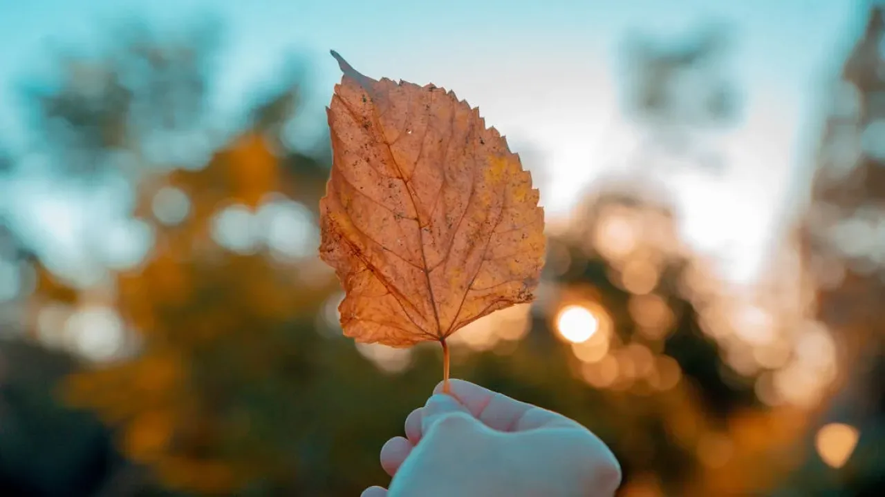 Україну розігріє до +11°: синоптикиня Діденко розповіла, де завтра буде тепло 