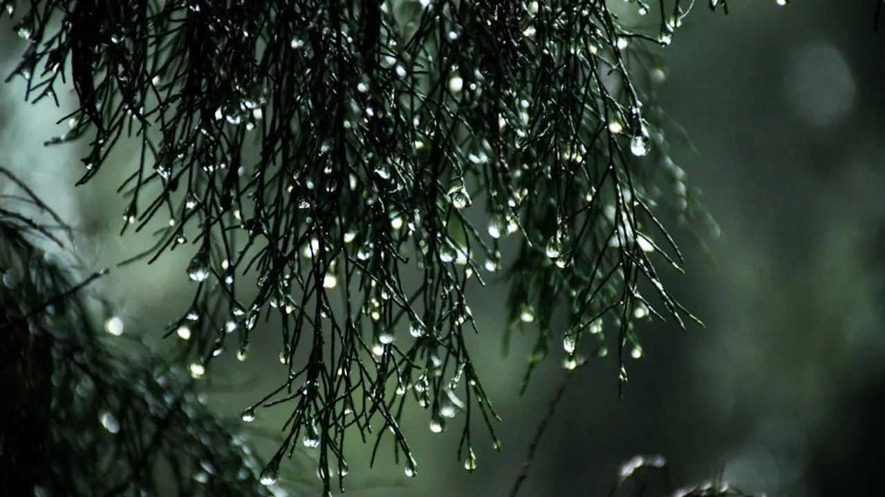 Перед вихідними дощів і мокрого снігу в Україні побільшає: прогноз на 29 листопада 