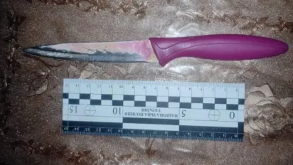 На Рівненщині під час застілля сестра вдарила брата ножем у груди - фото