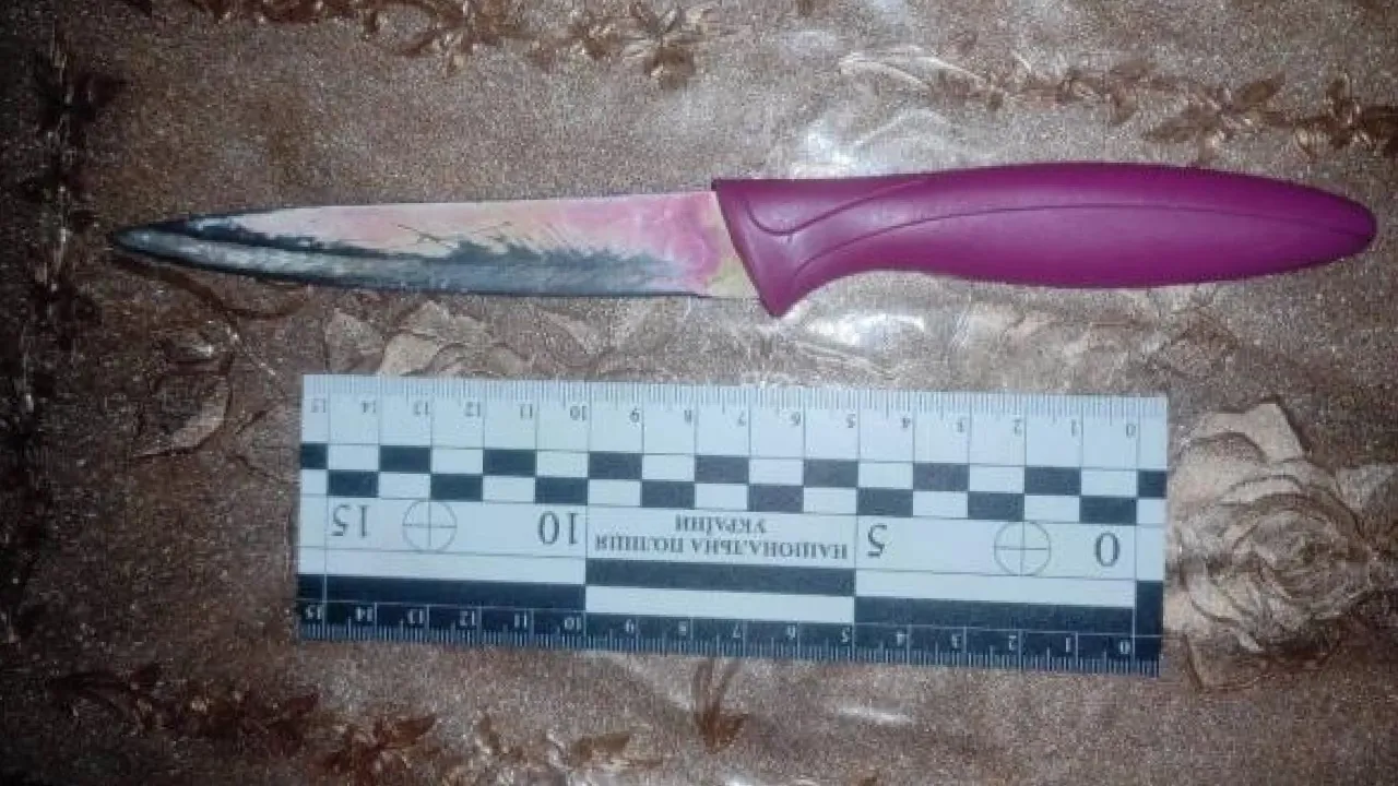 На Рівненщині під час застілля сестра вдарила брата ножем у груди 