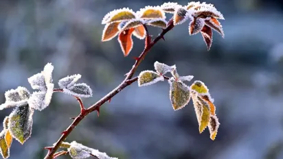 Народне свято 29 листопада 2024: чому цей день вважається небезпечним - фото