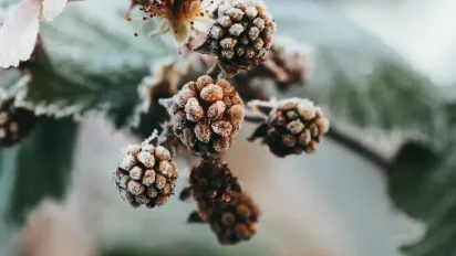 Синоптикиня розповіла, якою буде погода у грудні  - фото