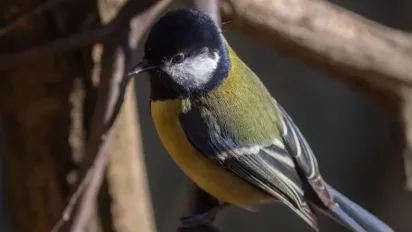 Синоптикиня повідомила, чи будуть опади на вихідних в Україні - фото