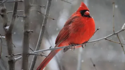 Над Європою формується антициклон: синоптик розказав, що буде з погодою в Україні - фото