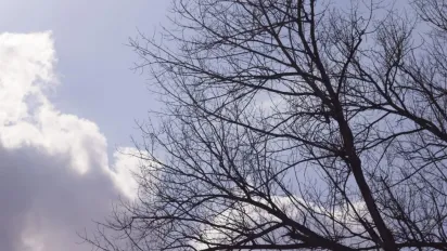 На вихідних погода в Україні зміниться: прогноз синоптиків - фото