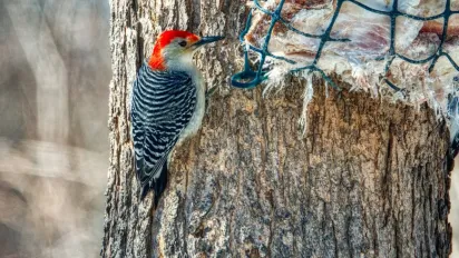 Україну накрив антициклон: що буде з погодою 3 грудня - фото