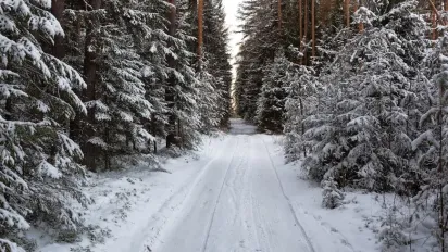 Яке народне свято 3 грудня: чому сьогодні потрібно мовчати - фото