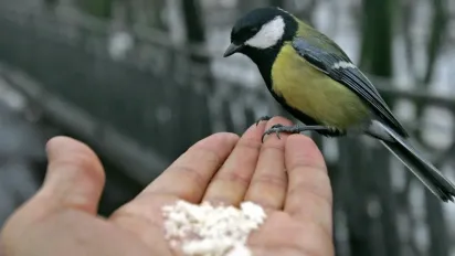 На українців чекає похмура і холодна середа: прогноз погоди на 4 грудня  - фото