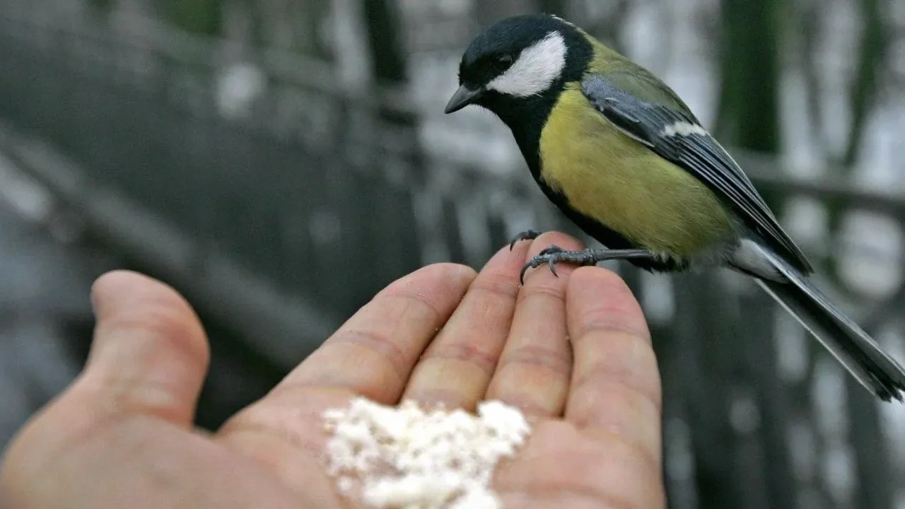 На українців чекає похмура і холодна середа: прогноз погоди на 4 грудня  