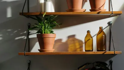 Навіщо потрібні зимові добрива для кімнатних рослин - фото