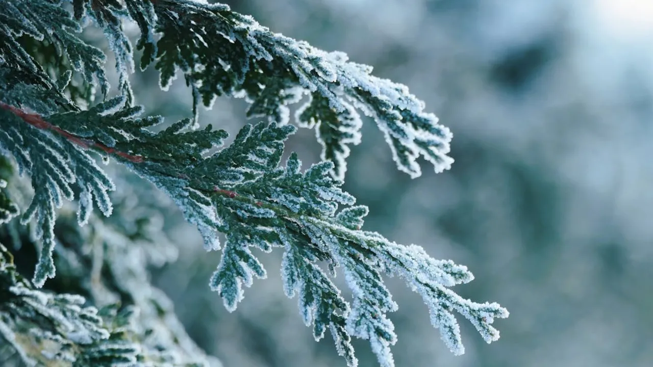 Гороскоп на 4 грудня 2024 року: що чекає на всі знаки Зодіаку 