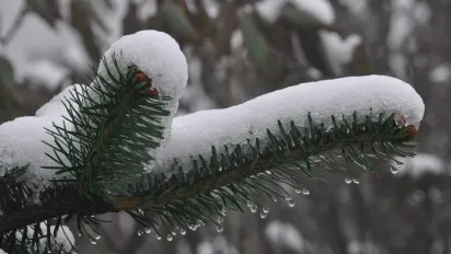 В Україну насуваються атмосферні фронти: прогноз синоптика - фото