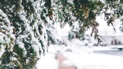 Гороскоп на 5 грудня: що чекає на всі знаки Зодіаку - фото