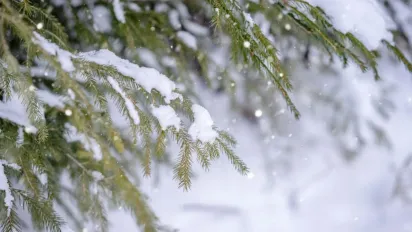 5 грудня в кількох областях України будуть опади: де сніжитиме - фото