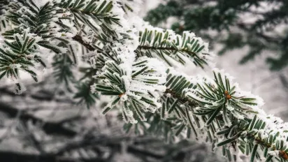 Чи варто українцям чекати сильних морозів в середині грудня: прогноз синоптика - фото