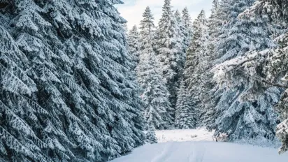 Якою буде погода в Україні на День Миколая: прогноз синоптикині Діденко - фото