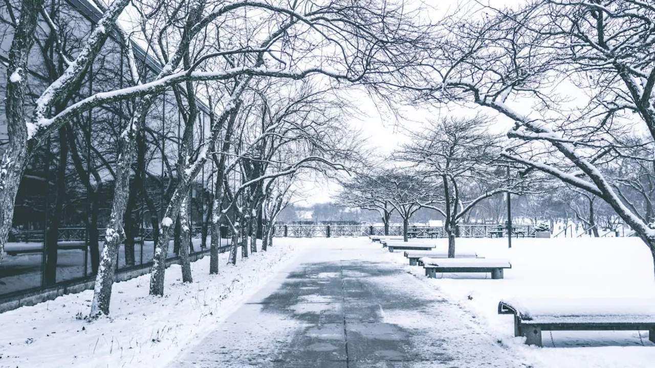 Завтра в Україні почнуться дощі та сніг: прогноз синоптиків 