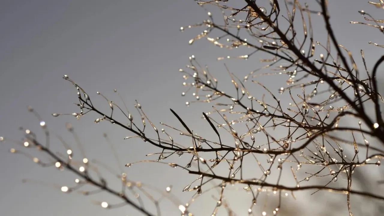 6 грудня: церковне свято сьогодні, що просити у святого Миколая, заборони дня 