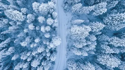 Гороскоп на 7 грудня: що чекає на всі знаки Зодіаку - фото