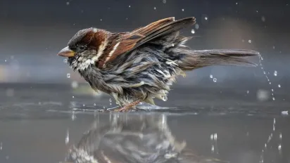 В Україні стане трохи тепліше, дощі триватимуть: прогноз на 9 грудня - фото