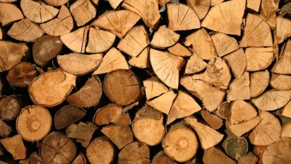 Українцям видають гроші на дрова: хто може отримати - фото