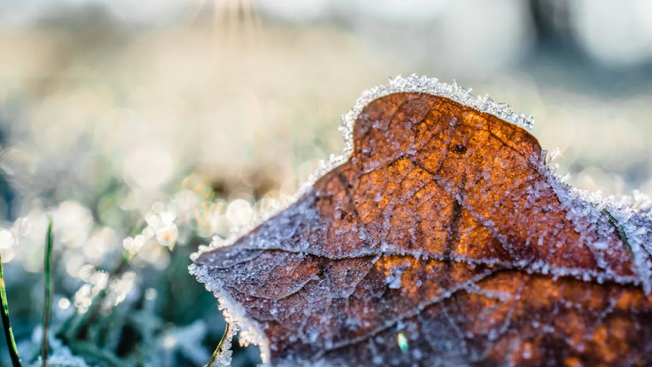 В Україну насувається потужний циклон: що буде з погодою 