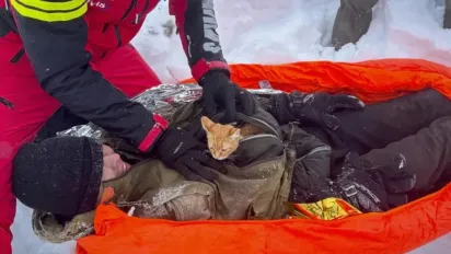 У горах Румунії мало не замерз на смерть 28-річний ухилянт з України: його врятував кіт - фото