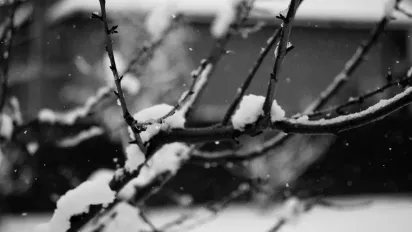 Над Італією формується циклон, який вплине на погоду в Україні - синоптикиня Діденко - фото