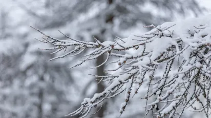 В Україну йде потужний циклон, який несе мокрий сніг та дощі - фото