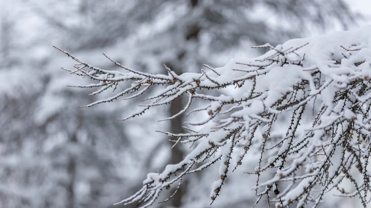 В Україну йде потужний циклон, який несе мокрий сніг та дощі 