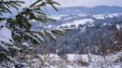 "Сніг, дощі та мокрий сніг": прогноз погоди на 11 грудня  - фото