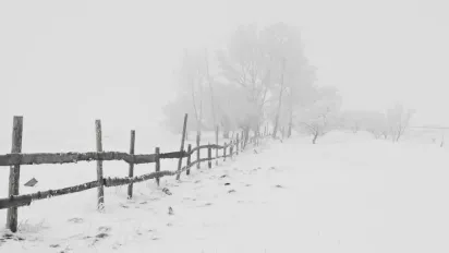 Що можна і не можна робити 11 грудня 2024: прикмети на щастя - фото