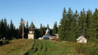 На Франківщині чоловік викрав авто, щоб привезти в монастир козу - фото