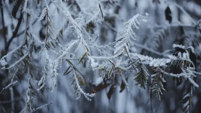 "Ховайте ніс та щоки": в Україну прийшов потужний антициклон - фото