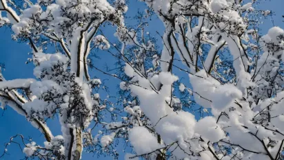 В Україні вдарить мороз до -14°: синоптикиня Діденко занепокоїла прогнозом - фото