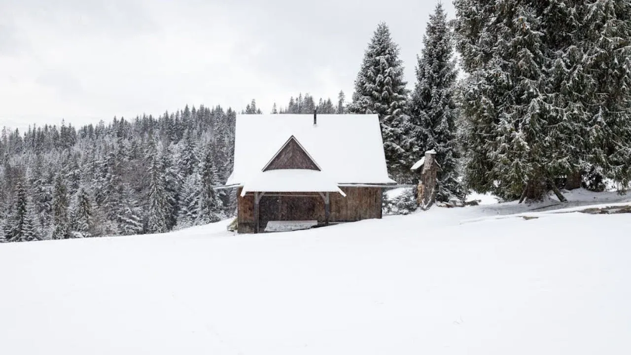 Гороскоп на 16 грудня: Що приготували зірки для кожного знаку зодіаку? 
