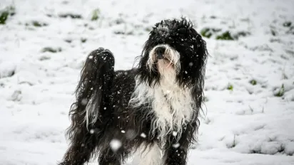 В Україну прийшов потужний атмосферний фронт: прогноз синоптика - фото
