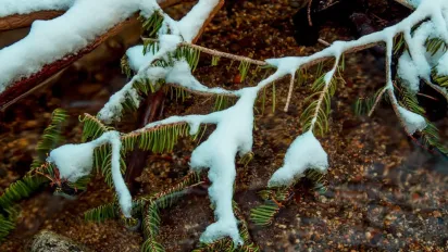 В Україну прийде відлига: прогноз погоди на 16 грудня - фото