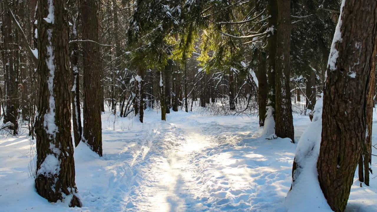 Завтра Україну знову штормитиме: негода омине лише одну область 